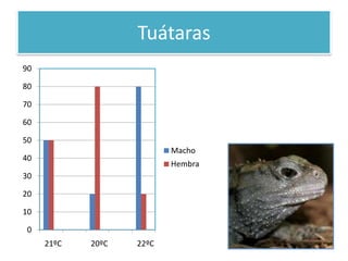 SerpientesEl esqueleto tiene muchas vértebrasLa mayoría de las serpientes se reproducen poniendo huevosUsan veneno para inmovilizar o matar a sus presasEl veneno es una saliva modificada y se inyecta gracias a los colmillos