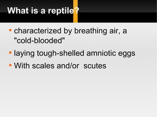 Reptiles | PPT