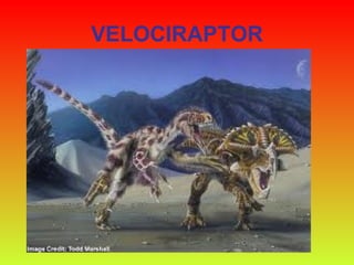 VELOCIRAPTOR 