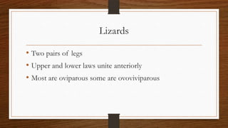 Lizards
• Two pairs of legs
• Upper and lower laws unite anteriorly
• Most are oviparous some are ovoviviparous

 