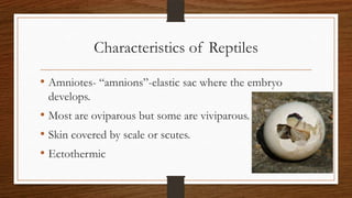 Characteristics of Reptiles
• Amniotes- “amnions”-elastic sac where the embryo
develops.

• Most are oviparous but some are viviparous.
• Skin covered by scale or scutes.
• Ectothermic

 