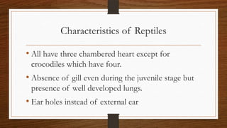 Characteristics of Reptiles
• All have three chambered heart except for
crocodiles which have four.

• Absence of gill even during the juvenile stage but
presence of well developed lungs.

• Ear holes instead of external ear

 