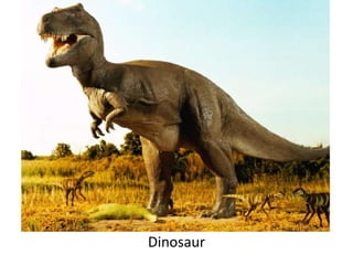 Dinosaur