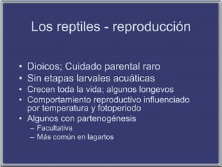 Los reptiles - reproducción
• Dioicos; Cuidado parental raro
• Sin etapas larvales acuáticas
• Crecen toda la vida; algunos longevos
• Comportamiento reproductivo influenciado
por temperatura y fotoperiodo
• Algunos con partenogénesis
– Facultativa
– Más común en lagartos
 