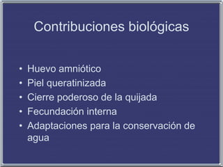 Contribuciones biológicas
• Huevo amniótico
• Piel queratinizada
• Cierre poderoso de la quijada
• Fecundación interna
• Adaptaciones para la conservación de
agua
 
