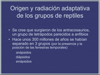 Origen y radiación adaptativa
de los grupos de reptiles
• Se cree que surgieron de los antracosaurios,
un grupo de tetrápodos parecidos a anfibios
• Hace unos 300 millones de años se habían
separado en 3 grupos (por la presencia y la
posición de las fenestras temporales)
anápsidos
diápsidos
sinápsidos
 