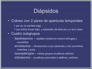 Diápsidos
• Cráneo con 2 pares de aperturas temporales
1 par en el cachete bajo
1 par sobre el par bajo y separado de éste por un arco óseo
• Cuatro subgrupos
lepidosaurios – reptiles modernos menos tortugas y
cocodrilos
arcosaurios – dinosaurios y sus parientes y los cocodrilos
vivientes y aves
sauropterígios – varios grupos acuáticos extintos
ictiosaurios – acuáticas parecidos a delfines, extintos
 
