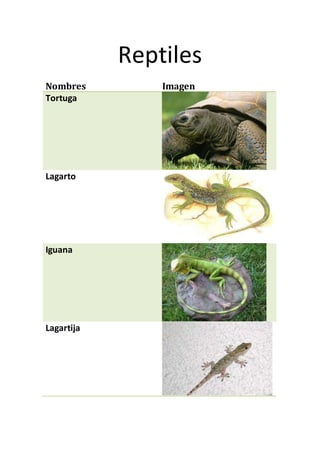 Reptiles
Nombres Imagen
Tortuga
Lagarto
Iguana
Lagartija
 