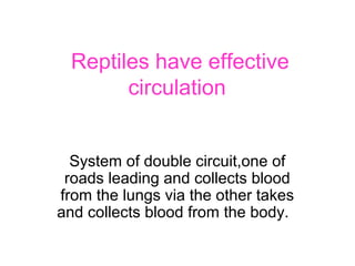 Reptiles have effective 
circulation 
System of double circuit,one of 
roads leading and collects blood 
from the lungs via the other takes 
and collects blood from the body. 
 