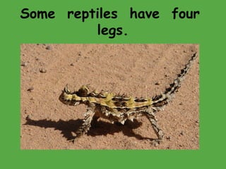 Some reptiles have four
legs.
 
