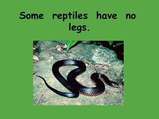 Some reptiles have no
legs.
 