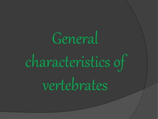 General
characteristics of
vertebrates
 