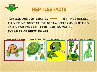 REPTILES ARE VERTEBRATES THEY HAVE BONES.
 THEY SPEND MOST OF THEIR TIME ON LAND, BUT THEY
CAN SPEND PART OF THEIR TIME ON WATER.
 EXAMPLES OF REPTILES ARE:
TORTOISE (LAND) TURTLE (WATER) LIZARD SNAKE CROCODILE
 