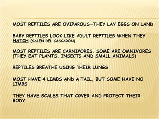  MOST REPTILES ARE OVIPAROUS THEY LAY EGGS ON LAND→
 BABY REPTILES LOOK LIKE ADULT REPTILES WHEN THEY
HATCH (SALEN DEL CASCARÓN)
 MOST REPTILES ARE CARNIVORES. SOME ARE OMNIVORES
(THEY EAT PLANTS, INSECTS AND SMALL ANIMALS)
 REPTILES BREATHE USING THEIR LUNGS
 MOST HAVE 4 LIMBS AND A TAIL, BUT SOME HAVE NO
LIMBS
 THEY HAVE SCALES THAT COVER AND PROTECT THEIR
BODY.
 