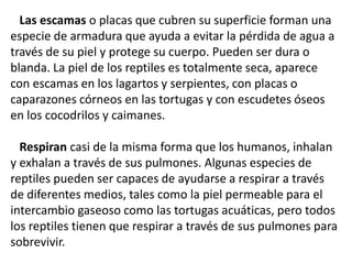 No todos los reptiles reptan, la mayoría de los reptiles
tienen patas (4 patas) y pueden trasladarse de un sitio a otro
sin reptar. Lo que si es cierto es que todos los reptiles tienen
sus extremidades (patas) muy cortas y en algunas ocasiones
dan la sensación de ir reptando.
Además la mayoría de los reptiles son ovíparos, es decir
nacen de huevos.
Las principales categorías son las serpientes, las tortugas y
los cocodrilos, caimanes y gaviales. Hay unas 8.240 especies
diferentes que se pueden encontrar en todos los continentes
excepto en la Antártida.
 