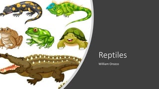Reptiles
William Orozco
 