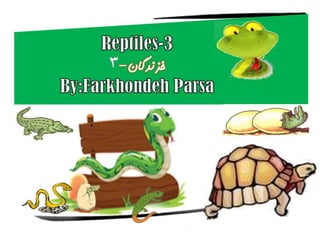 Reptiles 3