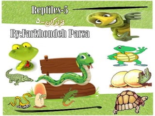 Reptiles 5-6