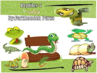Reptiles 7-8