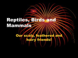 Reptiles, Birds and Mammals Our scaly, feathered and hairy friends! 