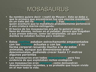 MOSASAURUS Su nombre quiere decir «reptil de Meuse». Esto se debe a que lo primero que encontraron fue una enorme mandíbula en un valle del río  Meuse  ( Holanda ). Fue  Georges   Cuvier  quien aventuró que la mandíbula probablemente perteneció a una criatura marina extinguida. El hocico de los mosasaurios era por lo general largo y lleno de dientes, incluso en el paladar; parece que tragaban a sus presas enteras, como las serpientes, ya que sus dientes no estaban hechos para masticar.  Estos  reptiles  estaban estrechamente emparentados con los  varanos  actuales y con las  serpientes , y su forma corporal recuerda mucho a la de estos animales, aunque sus dimensiones eran descomunales, pudiendo crecer hasta 17 metros algunos parientes   Los mosasaurios eran todos  depredadores , pero hay evidencia de que explotaban nichos ecológicos Los mosasaurios eran  vivíparos , como demuestran descubrimientos recientes, y es probable que hayan vivido en el mar toda la vida.  