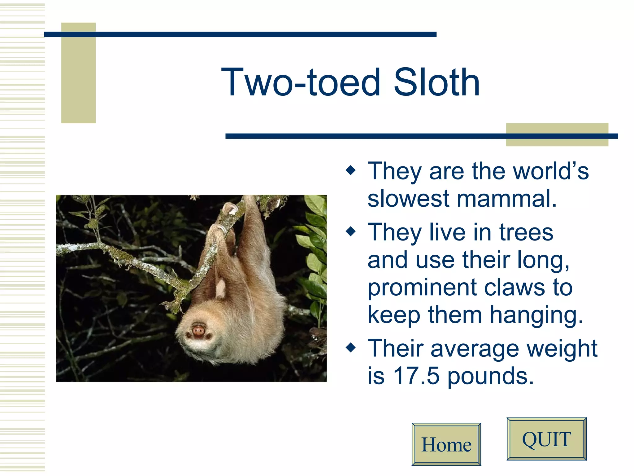 Reptiles Vs. Mammals PPT