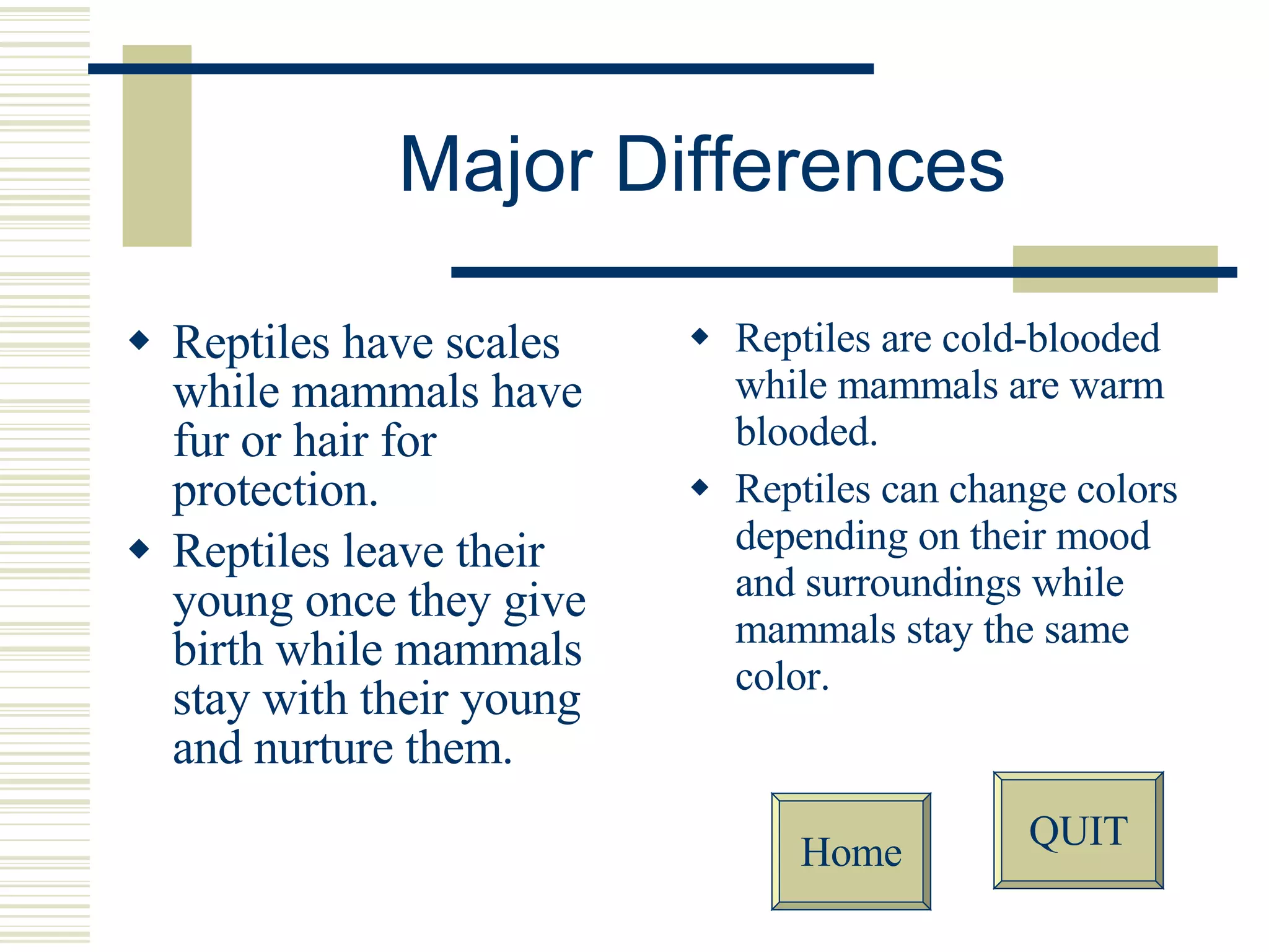 Reptiles Vs. Mammals | PPT, image size:2048x1536