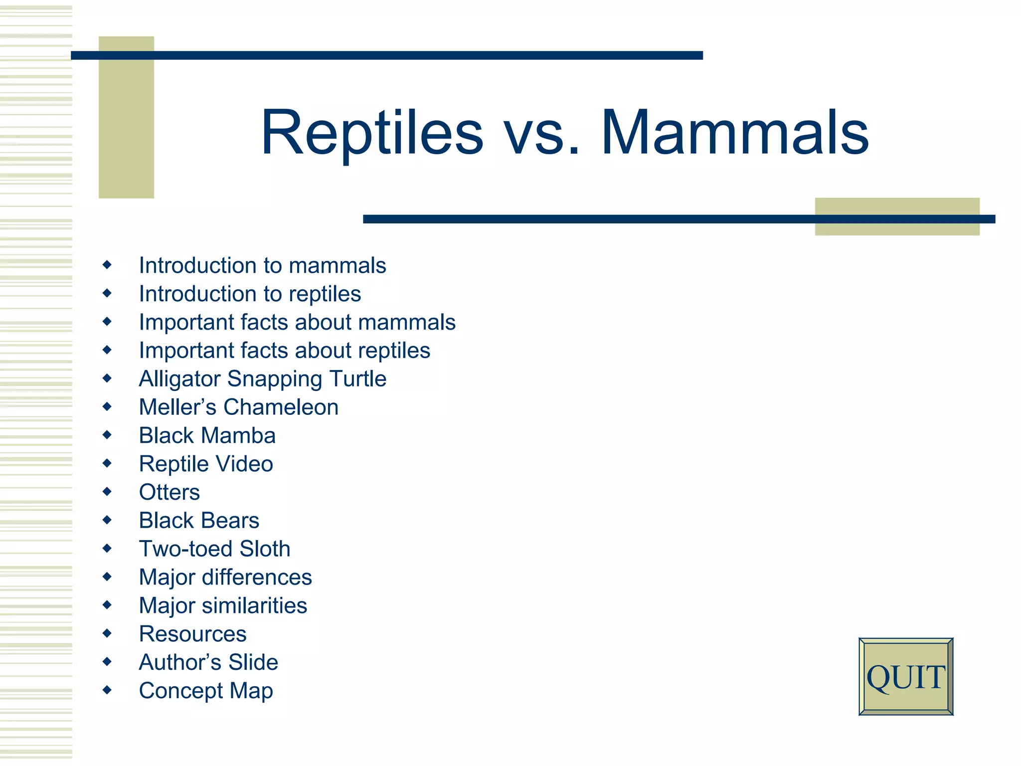Mammals And Reptiles Differences