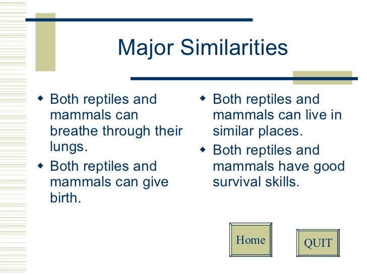 Reptiles Vs. Mammals