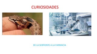 CURIOSIDADES
DE LA SERPIENTE A LA FARMACIA
 