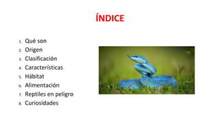ÍNDICE
1. Qué son
2. Origen
3. Clasificación
4. Características
5. Hábitat
6. Alimentación
7. Reptiles en peligro
8. Curiosidades
 
