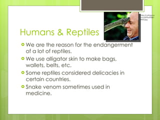 Humans & Reptiles We are the reason for the endangerment of a lot of reptiles. We use alligator skin to make bags, wallets, belts, etc. Some reptiles considered delicacies in certain countries.  Snake venom sometimes used in medicine. http://i.ytimg.com/vi/kPfw3Feb144/0.jpg 
