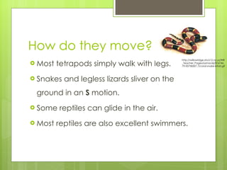 How do they move? Most tetrapods simply walk with legs. Snakes and legless lizards sliver on the ground in an  S  motion.  Some reptiles can glide in the air. Most reptiles are also excellent swimmers. http://willowridge.shs.k12.ny.us/WR_Teacher_Pages/sarnackij/01674679-00758307.7/coral-snake-info0.gif 