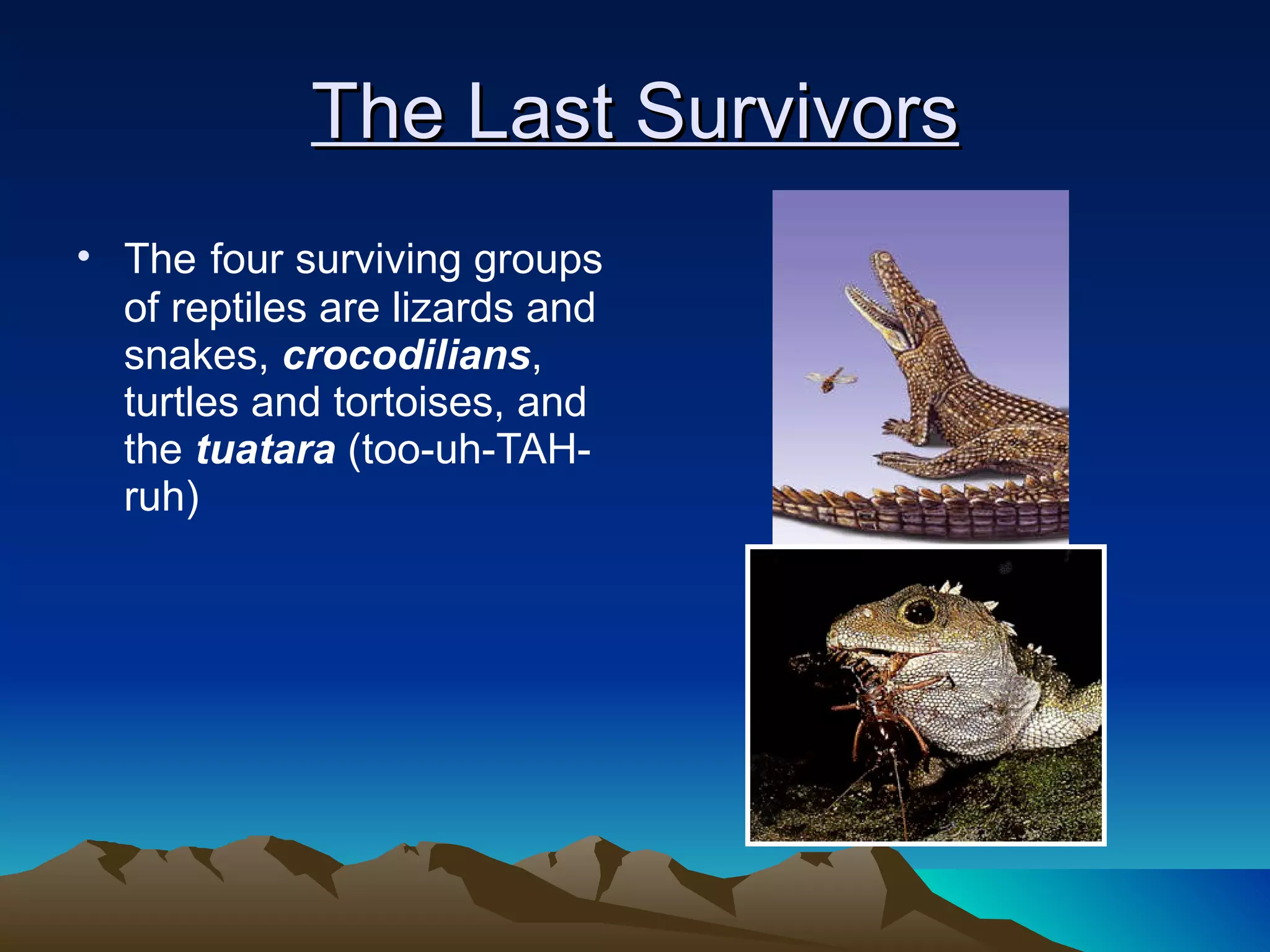 The Last Survivors The   four surviving groups of reptiles are lizards and snakes,  crocodilians , turtles and tortoises, and the  tuatara  (too-uh-TAH-ruh) 