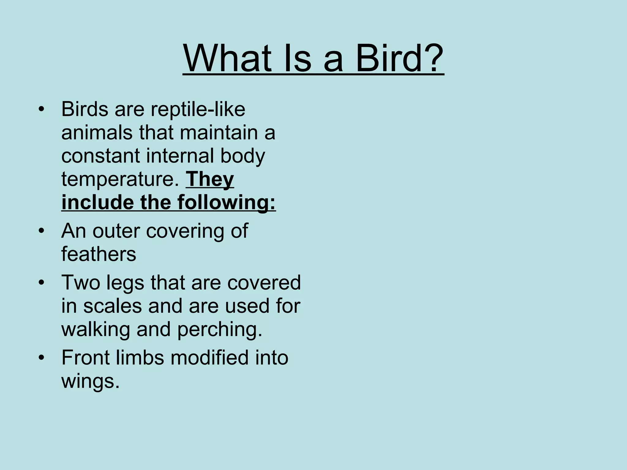 What Is a Bird? Birds are reptile-like animals that maintain a constant internal body temperature.  They include the following: An outer covering of feathers Two legs that are covered in scales and are used for walking and perching. Front limbs modified into wings. 