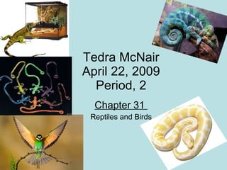 Tedra McNair April 22, 2009 Period, 2 Chapter 31  Reptiles and Birds 