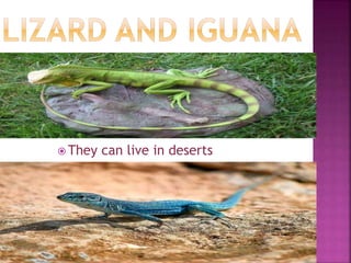  They can live in deserts
 