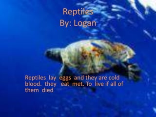 ReptilesBy: LoganReptiles  lay  eggs  and they are cold  blood.  they   eat  met. To  live if all of them  died   