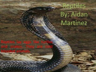 ReptilesBy: Aidan MartinezReptiles lay eggs like turtles and snakes. They are cold blooded animals.