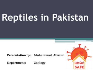 Reptiles in Pakistan
Presentation by: Muhammad Abuzar
Department: Zoology
 