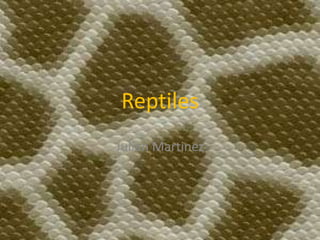 Reptiles Julian Martinez 
