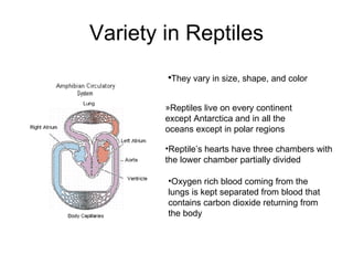 Reptiles Life Science 15 4 | PPT