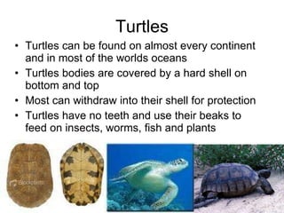 Reptiles Life Science 15 4 | PPT