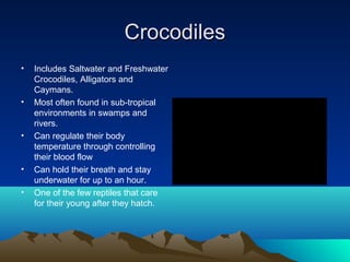 Crocodiles
•   Includes Saltwater and Freshwater
    Crocodiles, Alligators and
    Caymans.
•   Most often found in sub-tropical
    environments in swamps and
    rivers.
•   Can regulate their body
    temperature through controlling
    their blood flow
•   Can hold their breath and stay
    underwater for up to an hour.
•   One of the few reptiles that care
    for their young after they hatch.
 