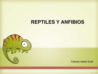 REPTILES Y ANFIBIOS
Yolanda Isabel Scott
 