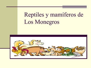 Reptiles y mamíferos de
Los Monegros
 