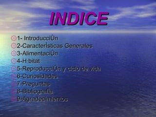INDICE 1- Introducción 2-Características Generales 3-Alimentación 4-Hábitat 5-Reproducción y ciclo de vida 6-Curiosidades 7-Preguntas 8-Bibliografía 9-Agradecimientos 