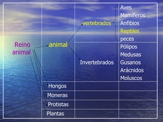 Protistas Plantas Moneras  Hongos  Pólipos Medusas Gusanos Arácnidos  Moluscos  Invertebrados Aves  Mamíferos Anfibios  Reptiles  peces  vertebrados animal Reino animal  