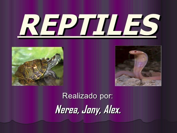 Presentación en Power Point sobre los reptiles Presentación en Power Point sobre los reptiles