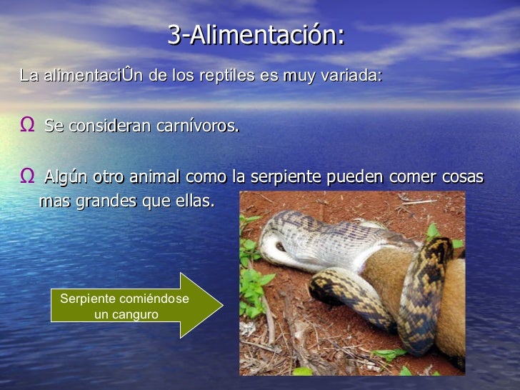 Presentación en Power Point sobre los reptiles